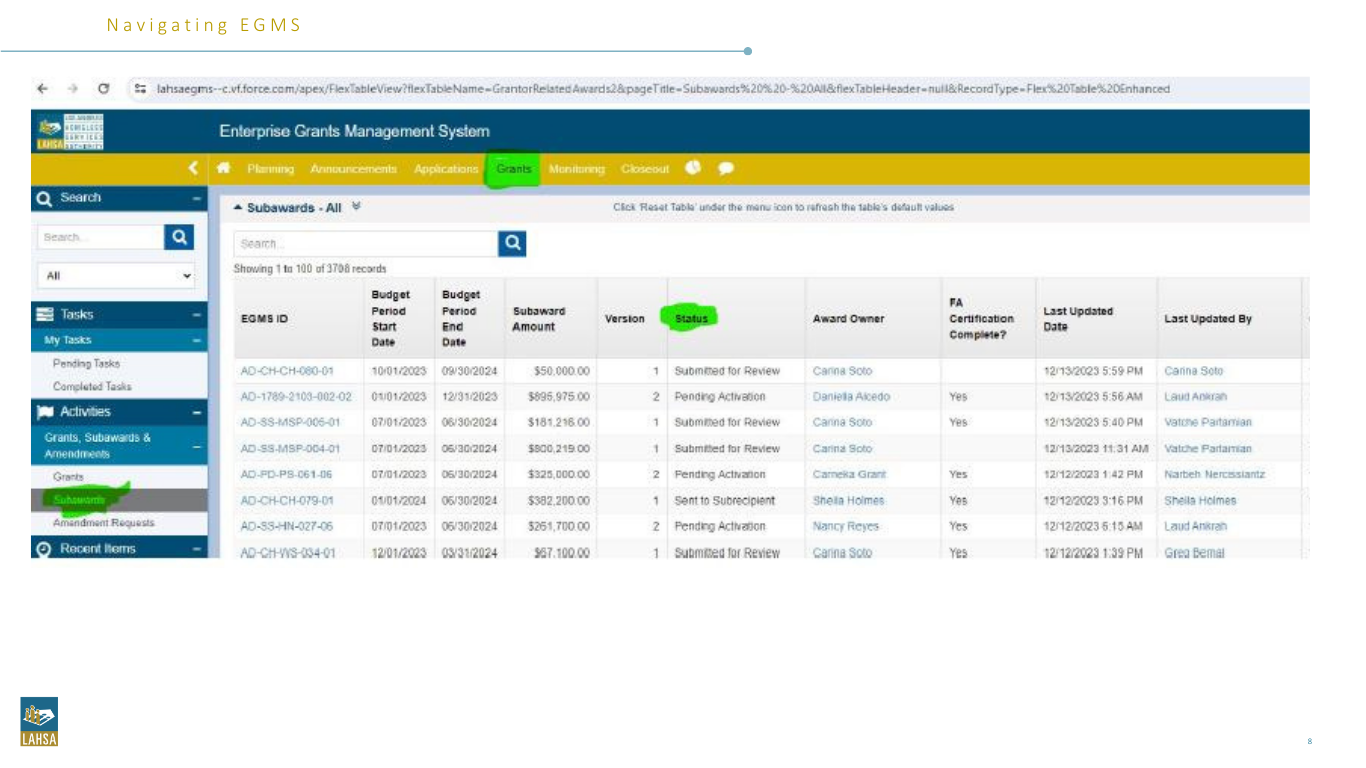 Enterprise Grants Management System project artifact 2
