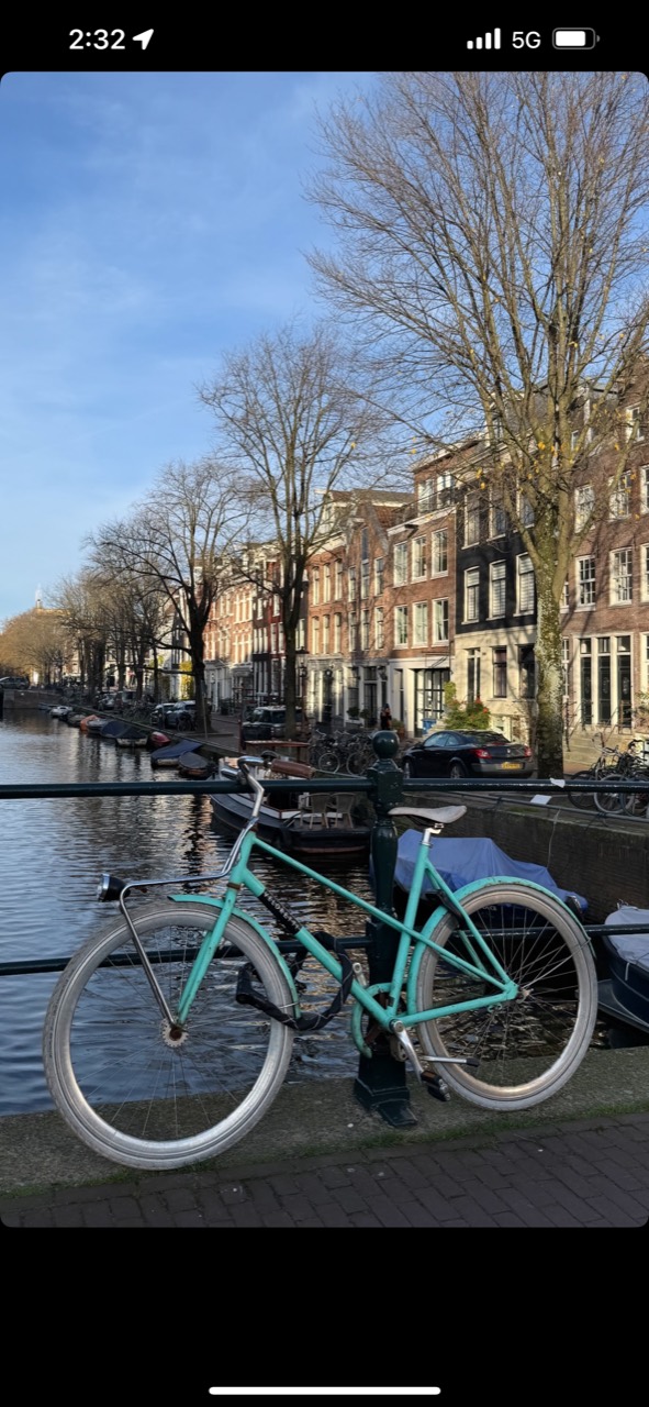 A bicycle beside an Amsterdam canal