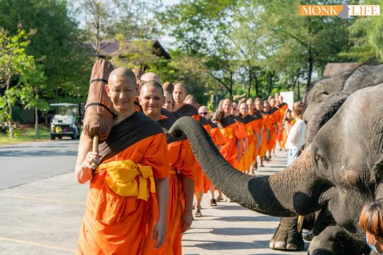 A Buddhist monastic procession beside an elephant