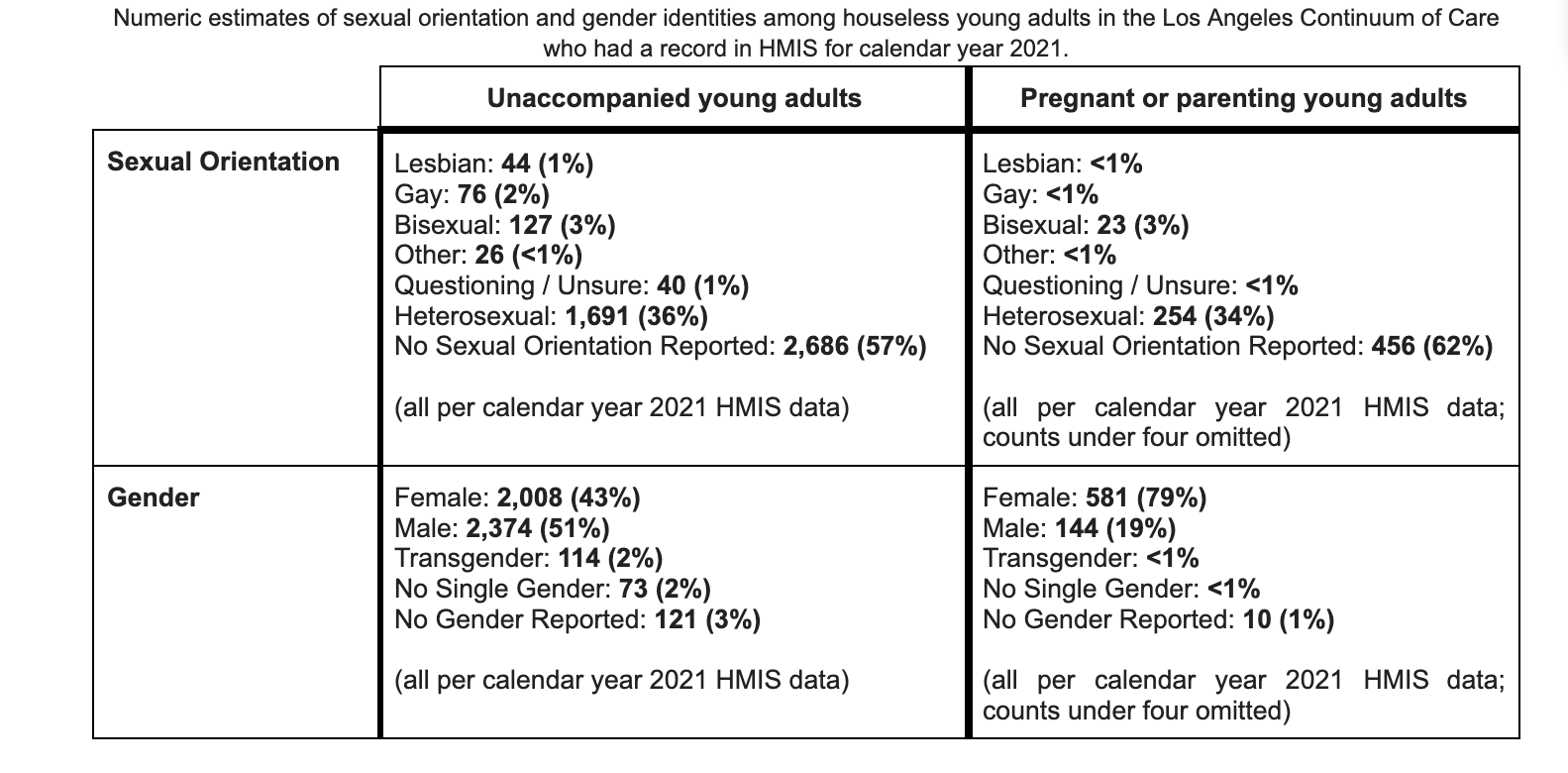 Youth homelessness demographic data table