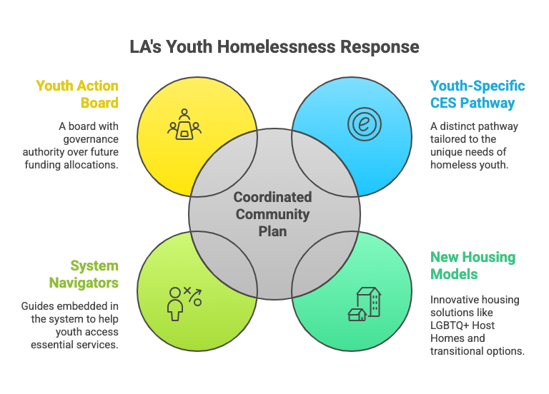 Youth Homelessness Demonstration Program project artifact 5