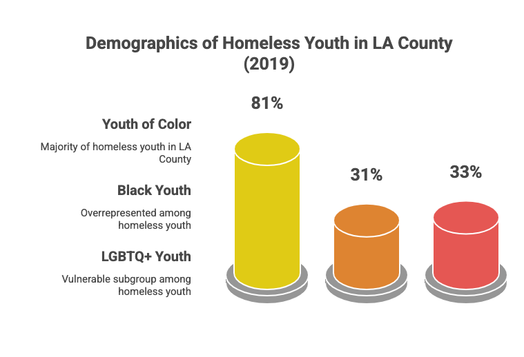 Youth Homelessness Demonstration Program project artifact 1